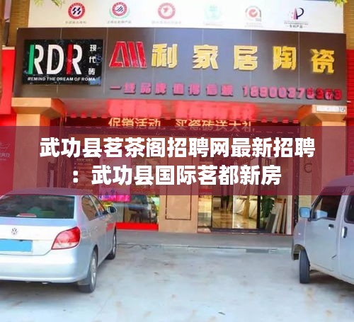 踊贵屦贱 第4页