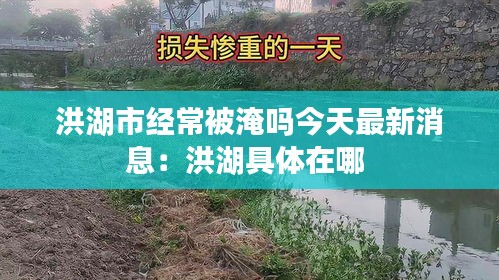 洪湖市经常被淹吗今天最新消息：洪湖具体在哪 
