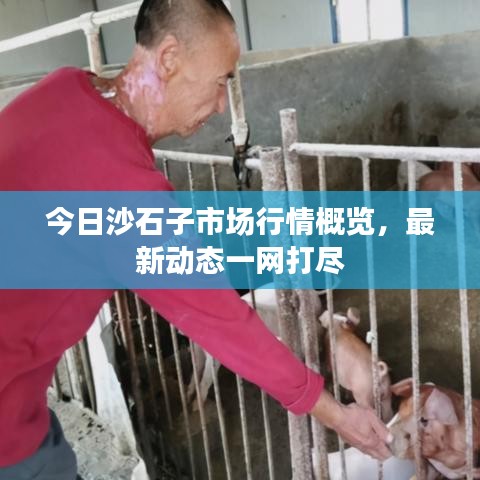 纡尊降贵 第3页