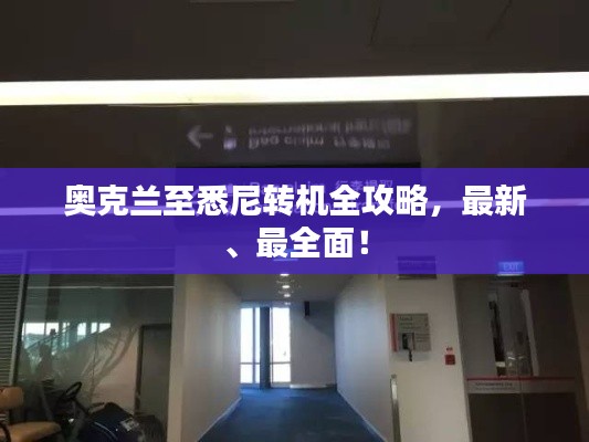 灰飞烟灭 第3页