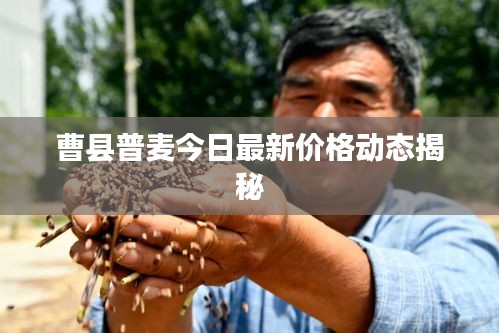 卧薪尝胆 第3页