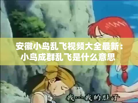 安徽小鸟乱飞视频大全最新：小鸟成群乱飞是什么意思 