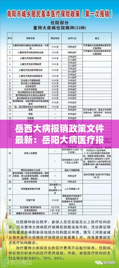 岳西大病报销政策文件最新：岳阳大病医疗报销 
