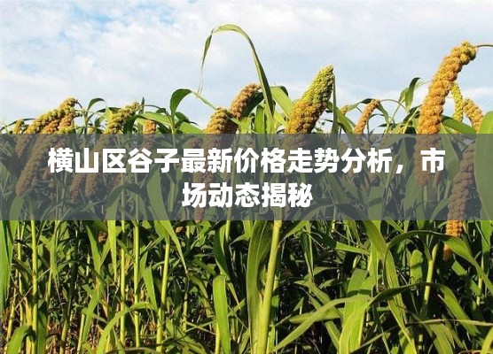 铁石心肠 第3页