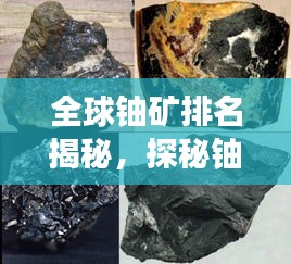 一枝独秀 第2页