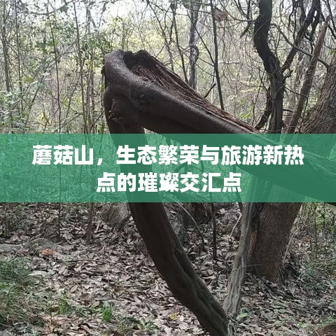 怀真抱素 第3页