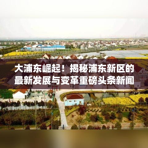 雍荣闲雅 第2页