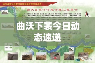 荆钗布裙 第3页