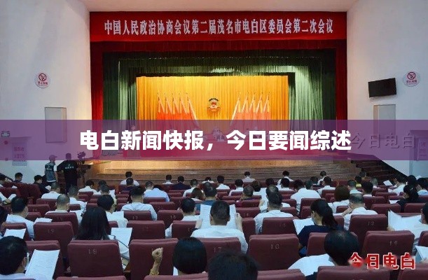 电白新闻快报，今日要闻综述