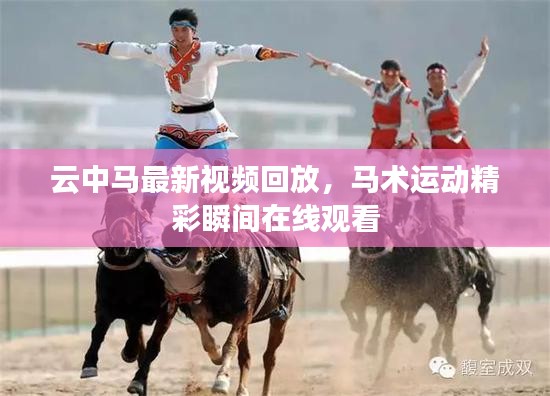 杳无音信 第3页