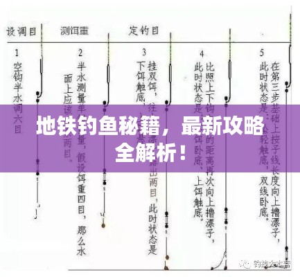 地铁钓鱼秘籍，最新攻略全解析！