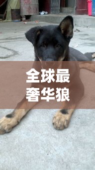 窗明几净 第2页