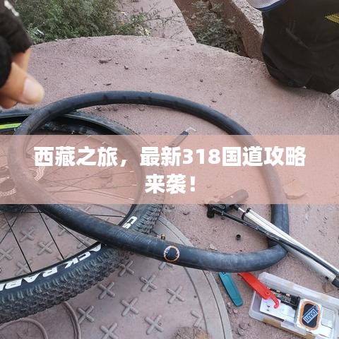 水静河飞 第2页