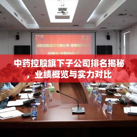 中药控股旗下子公司排名揭秘，业绩概览与实力对比