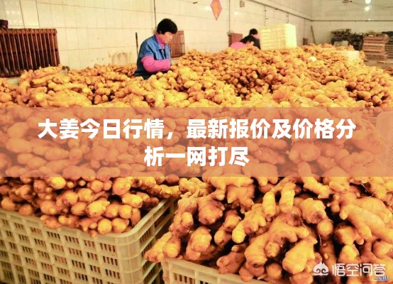 天生万物，唯人为贵 第2页