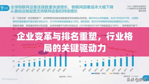企业变革与排名重塑，行业格局的关键驱动力