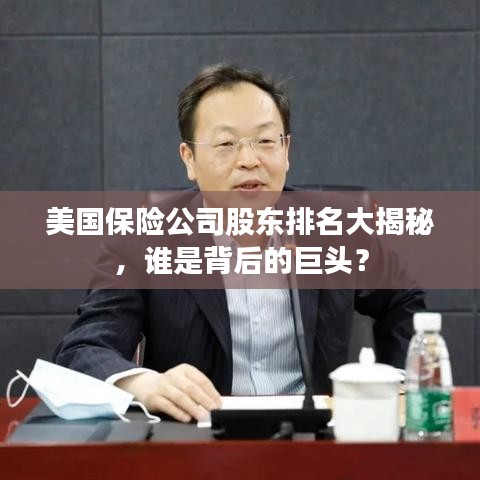 美国保险公司股东排名大揭秘，谁是背后的巨头？