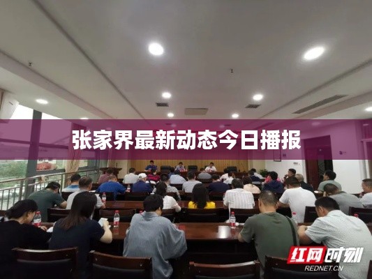 张家界最新动态今日播报