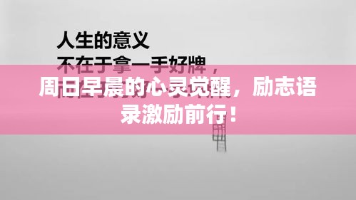 飞蝗芜湖 第2页