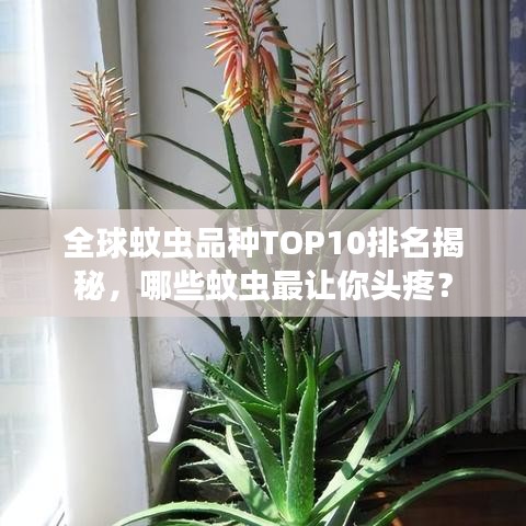 草率从事 第2页