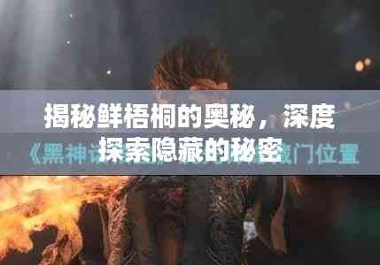 揭秘鲜梧桐的奥秘,深度探索隐藏的秘密