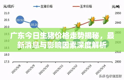 广东今日生猪价格走势揭秘，最新消息与影响因素深度解析