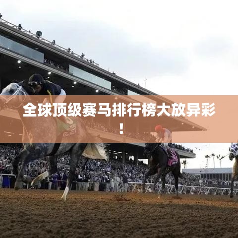 全球顶级赛马排行榜大放异彩！