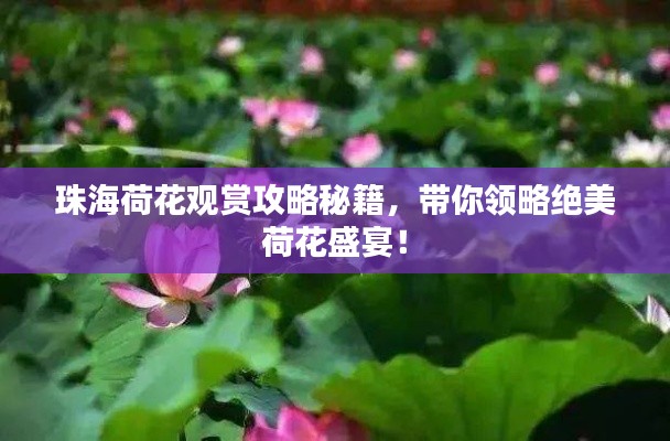映月读书 第2页