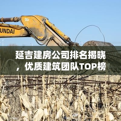 延吉建房公司排名揭晓，优质建筑团队TOP榜