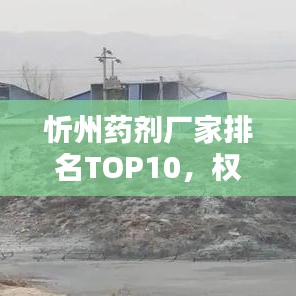 忻州药剂厂家排名TOP10，权威榜单揭晓