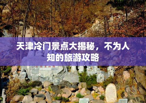 丢三拉四