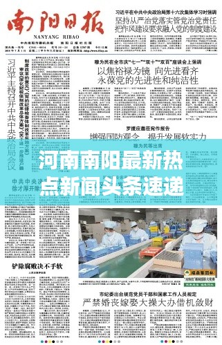 河南南阳最新热点新闻头条速递