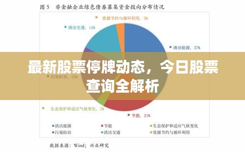 最新股票停牌动态，今日股票查询全解析