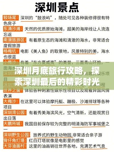 2025年6月 第88页