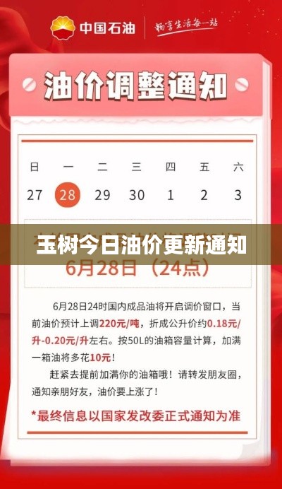 2025年6月 第84页