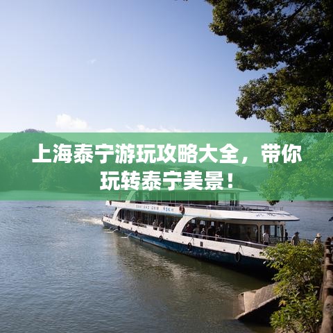 如翚斯飞