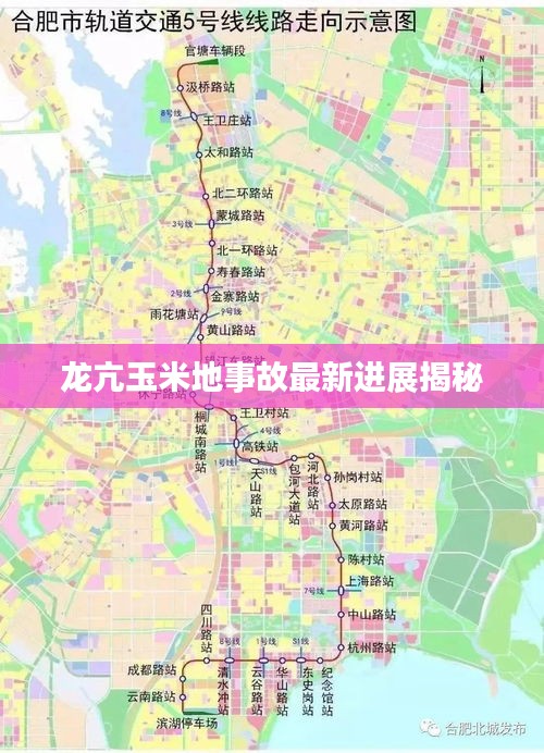 龙亢玉米地事故最新进展揭秘