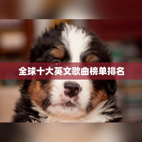 全球十大英文歌曲榜单排名