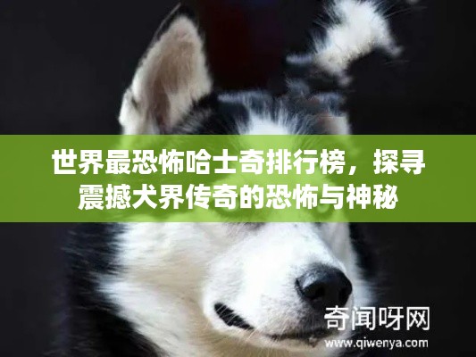 刚毅木讷