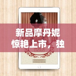 新品摩丹妮惊艳上市，独家价格表全揭秘！