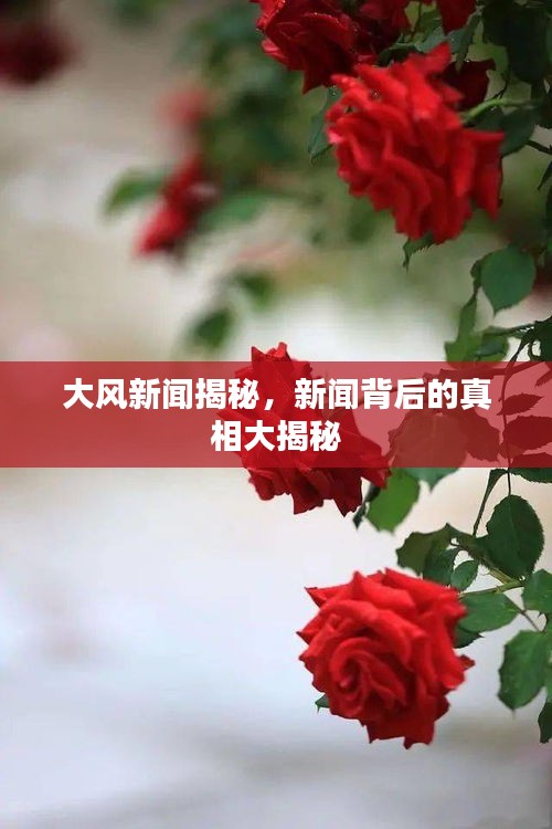 2025年6月15日 第4页