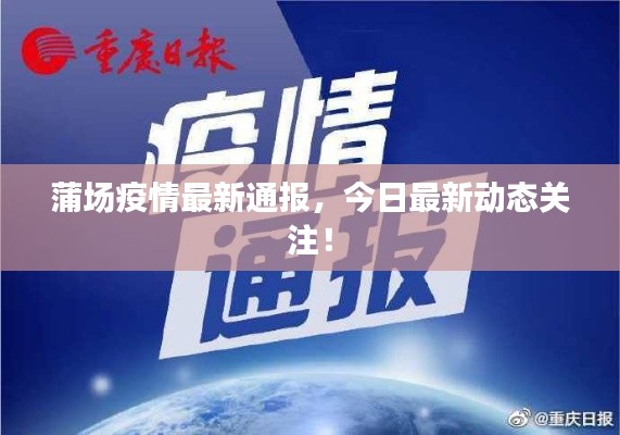 采椽不斫