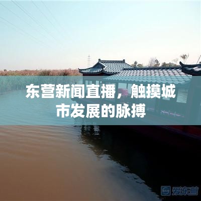 2025年6月18日 第3页