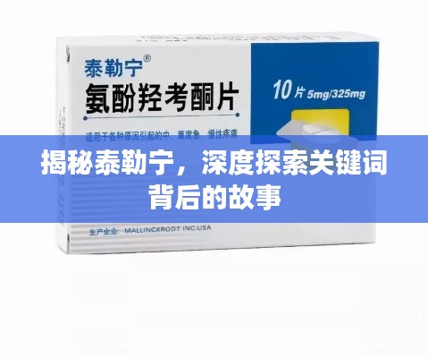 揭秘泰勒宁，深度探索关键词背后的故事