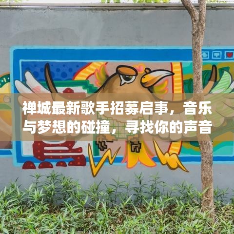 禅城最新歌手招募启事，音乐与梦想的碰撞，寻找你的声音之星
