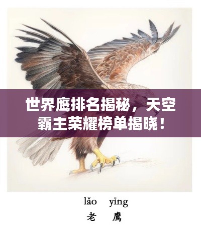 世界鹰排名揭秘，天空霸主荣耀榜单揭晓！