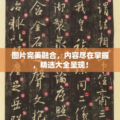 图片完美融合，内容尽在掌握，精选大全呈现！