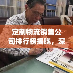 定制物流销售公司排行榜揭晓，深度剖析行业格局与未来趋势