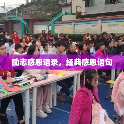 励志感恩语录，经典感恩语句