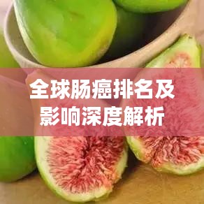 全球肠癌排名及影响深度解析